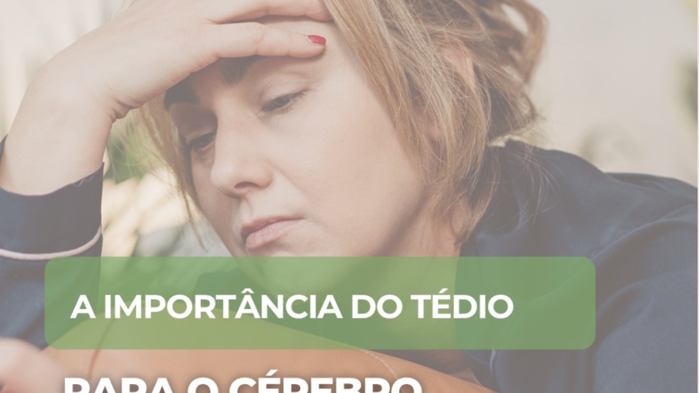 imagem_2025-11-14_173422381