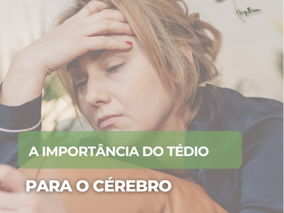 imagem_2025-11-14_173422381