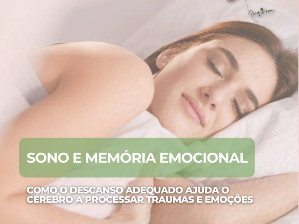 imagem_2025-11-28_094027085