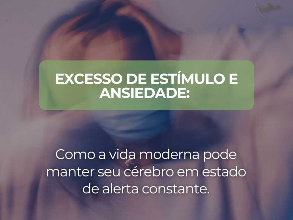 imagem_2026-08-11_105056385