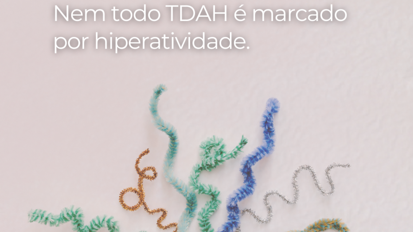 imagem_2026-08-11_105325336