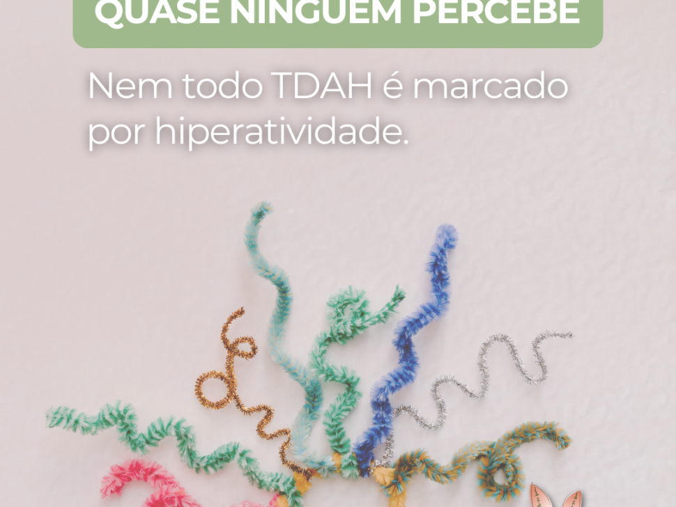 imagem_2026-08-11_105325336