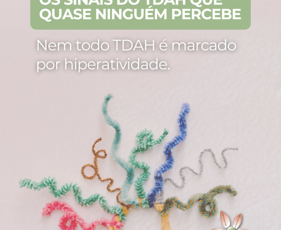 imagem_2026-08-11_105325336