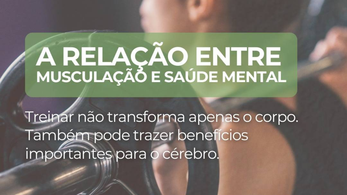 imagem_2026-08-11_105444383