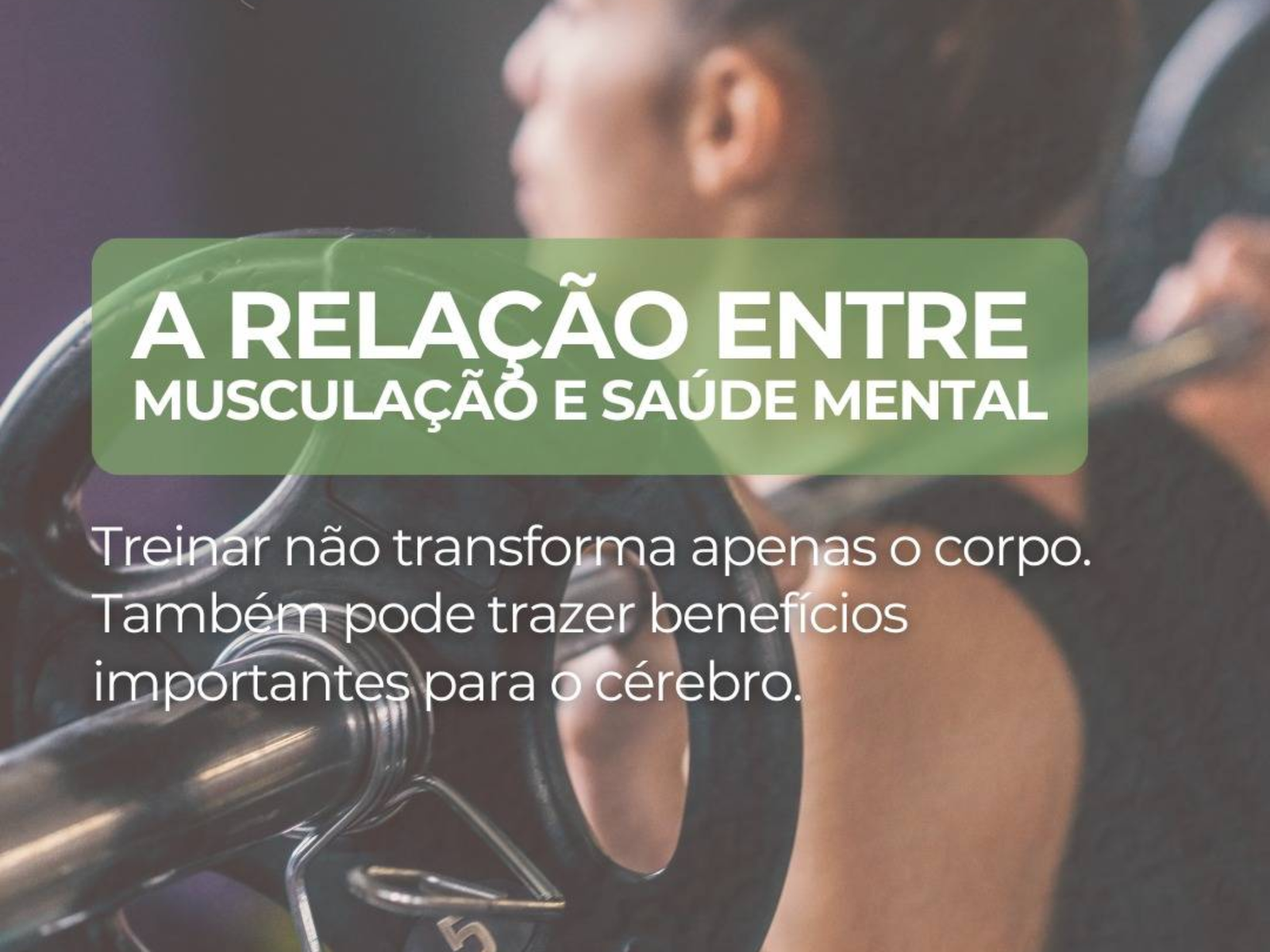 imagem_2026-08-11_105444383