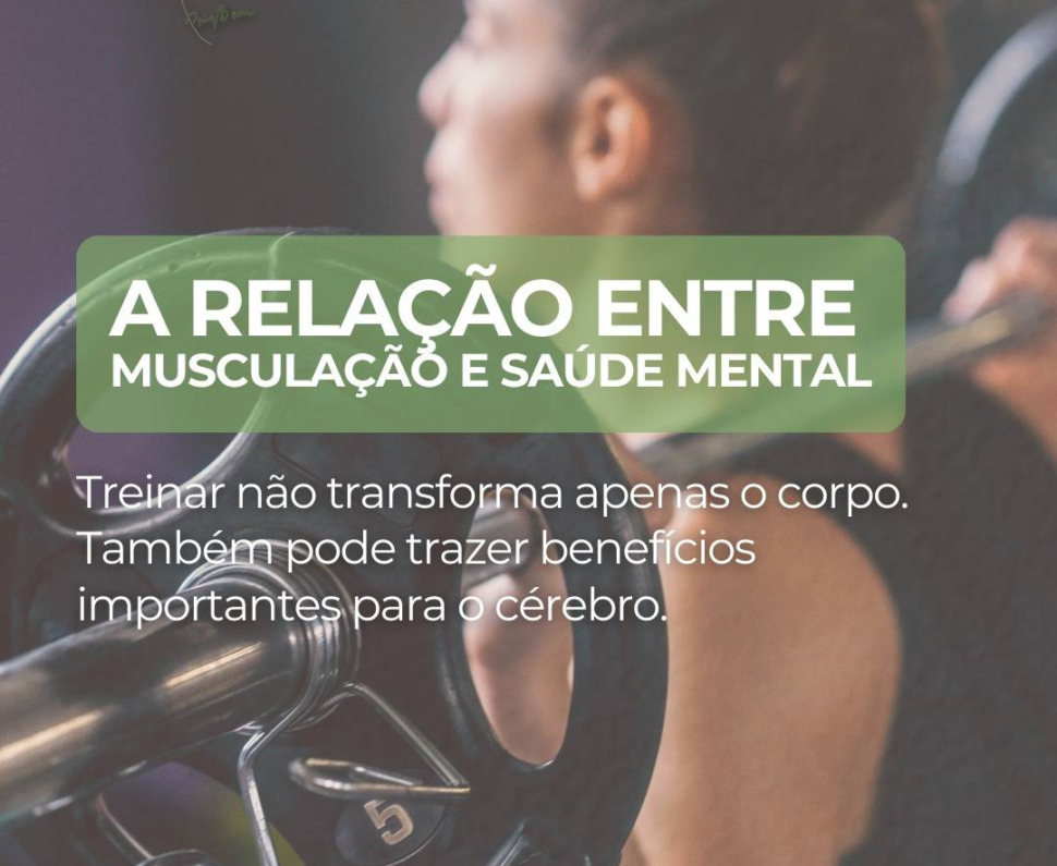 imagem_2026-08-11_105444383